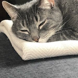 Meet your Posher, Toni